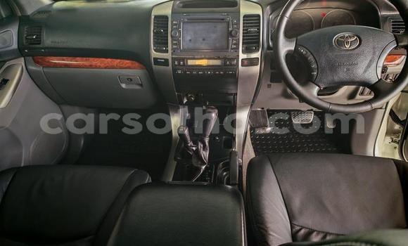 Buy Used Toyota Land Cruiser Prado White Car in Roma in Maseru Buy Used Toyota Land Cruiser Prado White Car in Roma in Maseru