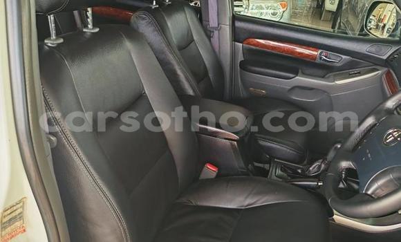 Buy Used Toyota Land Cruiser Prado White Car in Roma in Maseru Buy Used Toyota Land Cruiser Prado White Car in Roma in Maseru