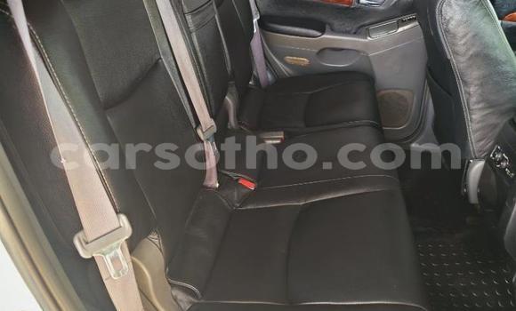 Buy Used Toyota Land Cruiser Prado White Car in Roma in Maseru Buy Used Toyota Land Cruiser Prado White Car in Roma in Maseru