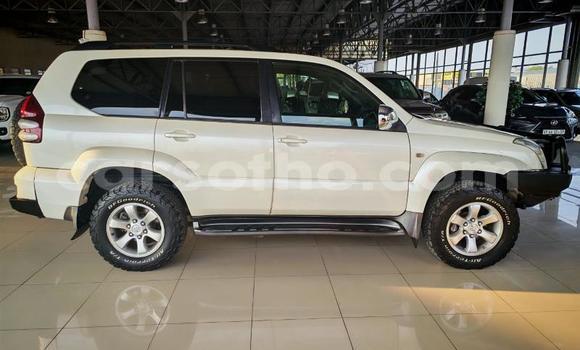 Buy Used Toyota Land Cruiser Prado White Car in Roma in Maseru Buy Used Toyota Land Cruiser Prado White Car in Roma in Maseru