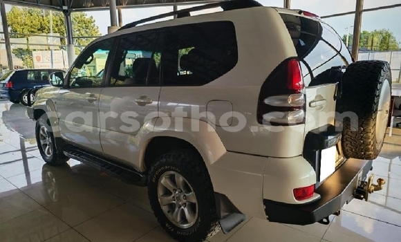 Buy Used Toyota Land Cruiser Prado White Car in Roma in Maseru Buy Used Toyota Land Cruiser Prado White Car in Roma in Maseru