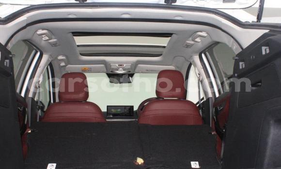 Buy Used TATA Xenon White Car in Thaba–Tseka in Mafeteng Buy Used TATA Xenon White Car in Thaba–Tseka in Mafeteng