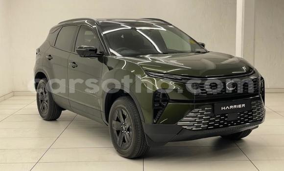 Buy Used TATA Safari Green Car in Mokhotlong in Berea
