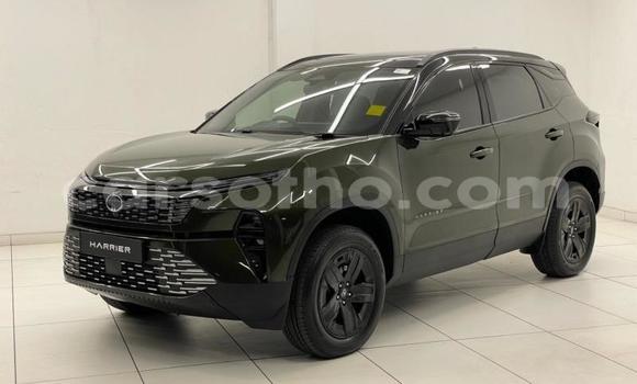 Buy Used TATA Safari Green Car in Mokhotlong in Berea Buy Used TATA Safari Green Car in Mokhotlong in Berea