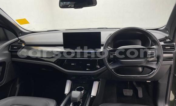 Buy Used TATA Safari Green Car in Mokhotlong in Berea Buy Used TATA Safari Green Car in Mokhotlong in Berea