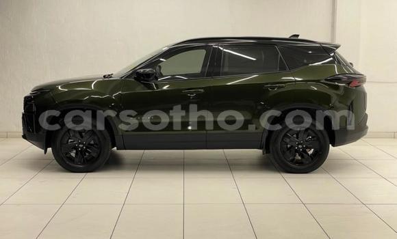 Buy Used TATA Safari Green Car in Mokhotlong in Berea Buy Used TATA Safari Green Car in Mokhotlong in Berea