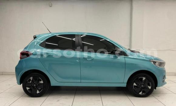 Buy Used TATA Telcoline Blue Car in Mohale's Hoek in Mohale's Hoek Buy Used TATA Telcoline Blue Car in Mohale's Hoek in Mohale's Hoek