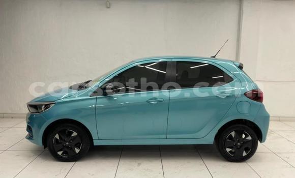 Buy Used TATA Telcoline Blue Car in Mohale's Hoek in Mohale's Hoek Buy Used TATA Telcoline Blue Car in Mohale's Hoek in Mohale's Hoek