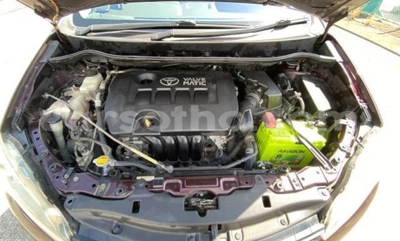 Buy Used Toyota Wish Beige Car in Maputsoe in Leribe Buy Used Toyota Wish Beige Car in Maputsoe in Leribe