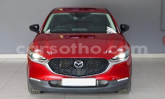 Buy Used Mazda CX-3 Red Car in Mafeteng in Mafeteng Buy Used Mazda CX-3 Red Car in Mafeteng in Mafeteng