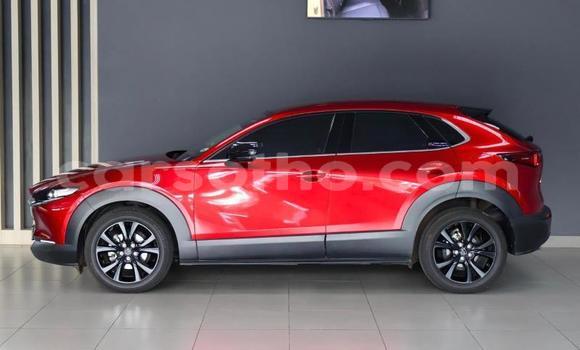 Buy Used Mazda CX-3 Red Car in Mafeteng in Mafeteng Buy Used Mazda CX-3 Red Car in Mafeteng in Mafeteng