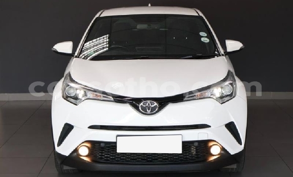 Buy Used Toyota C-HR White Car in Maputsoa in Leribe Buy Used Toyota C-HR White Car in Maputsoa in Leribe