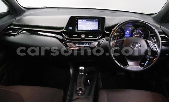 Buy Used Toyota C-HR White Car in Maputsoa in Leribe Buy Used Toyota C-HR White Car in Maputsoa in Leribe