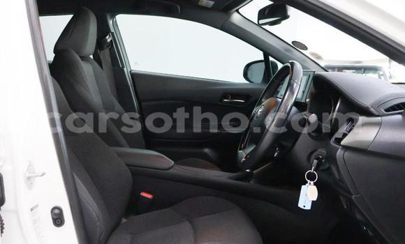 Buy Used Toyota C-HR White Car in Maputsoa in Leribe Buy Used Toyota C-HR White Car in Maputsoa in Leribe