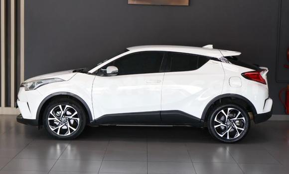Buy Used Toyota C-HR White Car in Maputsoa in Leribe Buy Used Toyota C-HR White Car in Maputsoa in Leribe