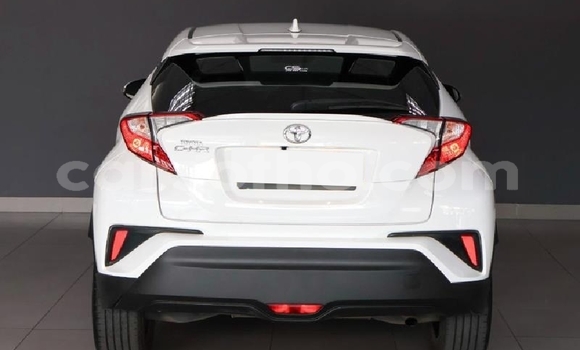Buy Used Toyota C-HR White Car in Maputsoa in Leribe Buy Used Toyota C-HR White Car in Maputsoa in Leribe