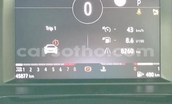 Buy Used Opel Grandland X White Car in Maputsoe in Leribe Buy Used Opel Grandland X White Car in Maputsoe in Leribe