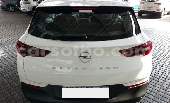 Buy Used Opel Grandland X White Car in Maputsoe in Leribe Buy Used Opel Grandland X White Car in Maputsoe in Leribe