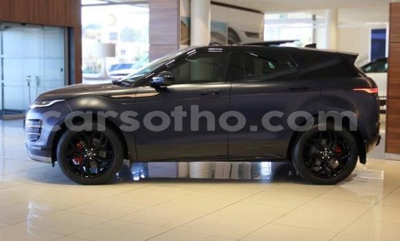 Buy Used Land Rover Range Rover Evoque Blue Car in Maseru in Maseru Buy Used Land Rover Range Rover Evoque Blue Car in Maseru in Maseru