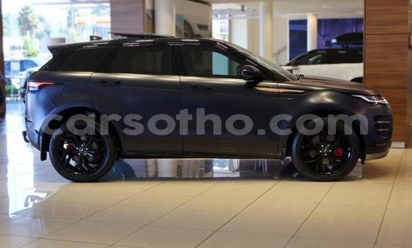 Buy Used Land Rover Range Rover Evoque Blue Car in Maseru in Maseru Buy Used Land Rover Range Rover Evoque Blue Car in Maseru in Maseru