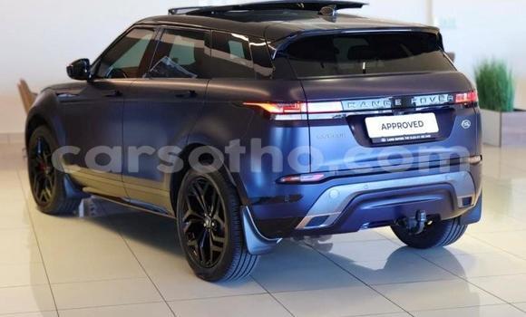 Buy Used Land Rover Range Rover Evoque Blue Car in Maseru in Maseru Buy Used Land Rover Range Rover Evoque Blue Car in Maseru in Maseru
