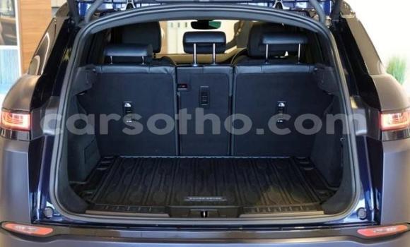 Buy Used Land Rover Range Rover Evoque Blue Car in Maseru in Maseru Buy Used Land Rover Range Rover Evoque Blue Car in Maseru in Maseru