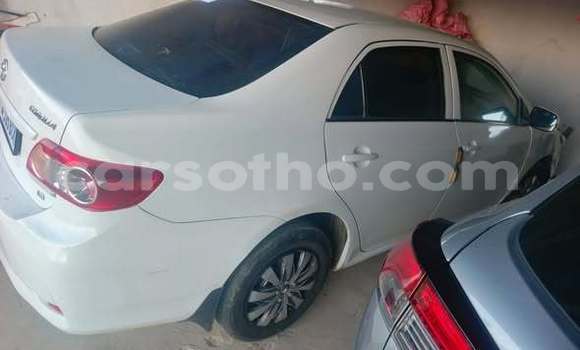 Buy Used Toyota Corolla Other Car in Maseru in Maseru