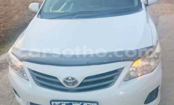 Buy Used Toyota Corolla Other Car in Maseru in Maseru Buy Used Toyota Corolla Other Car in Maseru in Maseru
