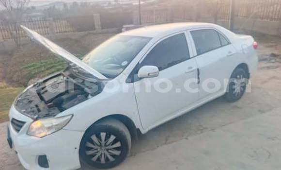 Buy Used Toyota Corolla Other Car in Maseru in Maseru Buy Used Toyota Corolla Other Car in Maseru in Maseru