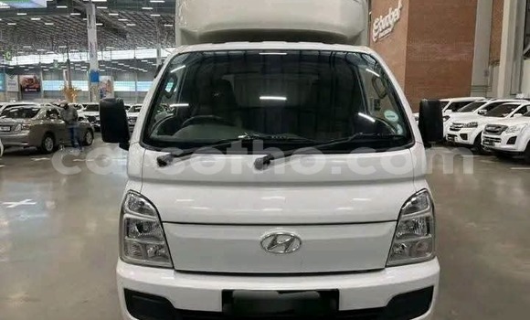 Buy Used Hyundai H200 White Car in Maseru in Maseru