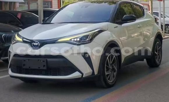 Buy Used Toyota C-HR White Car in Maputsoe in Leribe Buy Used Toyota C-HR White Car in Maputsoe in Leribe