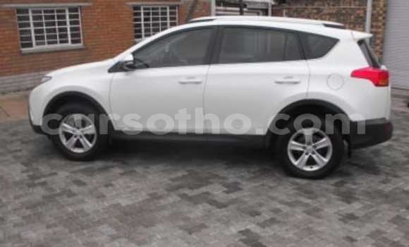 Buy Used Toyota RAV4 White Car in Maseru in Maseru Buy Used Toyota RAV4 White Car in Maseru in Maseru