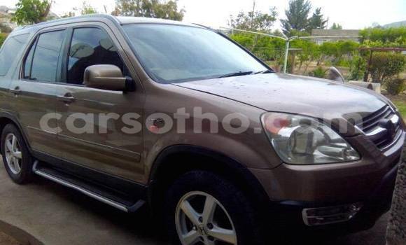 Buy Used Honda CR-V Other Car in Maseru in Maseru Buy Used Honda CR-V Other Car in Maseru in Maseru