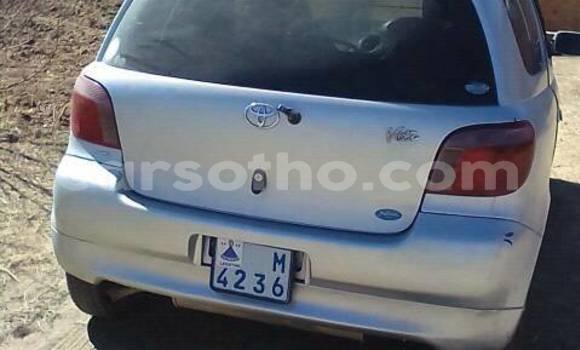 Buy Used Toyota Vitz Silver Car in Maseru in Maseru Buy Used Toyota Vitz Silver Car in Maseru in Maseru