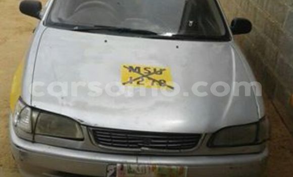 Medium with watermark 18952779 709237862582138 3608237861038673941 n