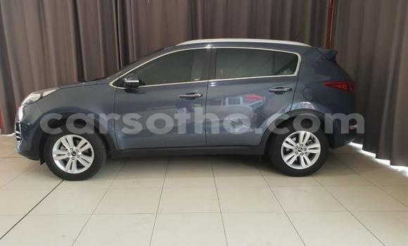 Sayi Na hannu Kia Sportage Blue Mota in Maseru a Maseru Sayi Na hannu Kia Sportage Blue Mota in Maseru a Maseru