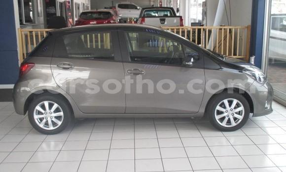 Buy Used Toyota Yaris Black Car in Maseru in Maseru Buy Used Toyota Yaris Black Car in Maseru in Maseru