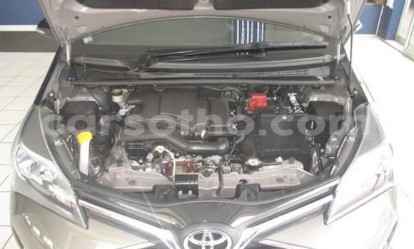 Buy Used Toyota Yaris Black Car in Maseru in Maseru Buy Used Toyota Yaris Black Car in Maseru in Maseru