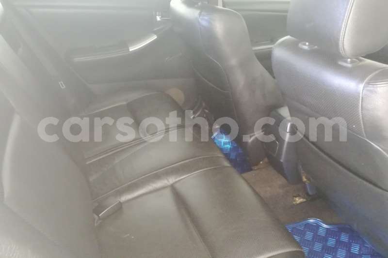 Big with watermark toyota runx 160 sport 2008 id 61826201 type main