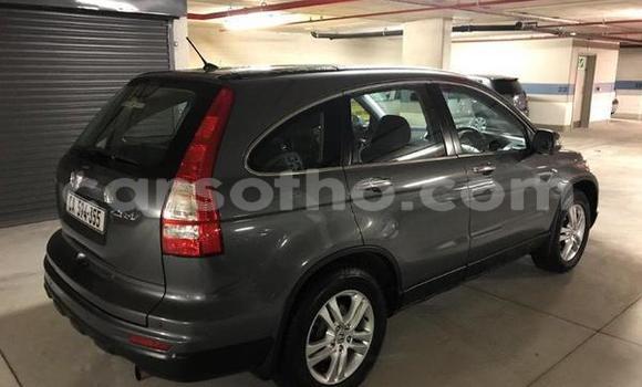Acheter Occasion Voiture Honda CR–V Gris à Hlotse, Leribe Acheter Occasion Voiture Honda CR–V Gris à Hlotse, Leribe