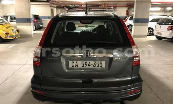 Acheter Occasion Voiture Honda CR–V Gris à Hlotse, Leribe Acheter Occasion Voiture Honda CR–V Gris à Hlotse, Leribe
