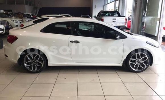 Acheter Occasion Voiture Kia Cerato Blanc à Hlotse, Leribe Acheter Occasion Voiture Kia Cerato Blanc à Hlotse, Leribe