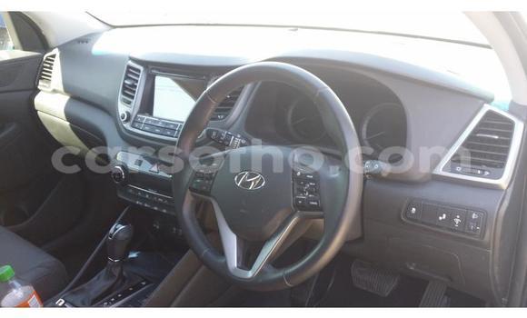 Sayi Na hannu Hyundai Tucson Blue Mota in Hlotse a Leribe Sayi Na hannu Hyundai Tucson Blue Mota in Hlotse a Leribe