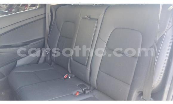 Sayi Na hannu Hyundai Tucson Blue Mota in Hlotse a Leribe Sayi Na hannu Hyundai Tucson Blue Mota in Hlotse a Leribe