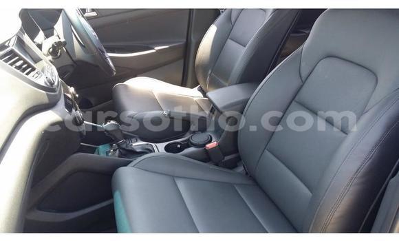 Sayi Na hannu Hyundai Tucson Blue Mota in Hlotse a Leribe Sayi Na hannu Hyundai Tucson Blue Mota in Hlotse a Leribe