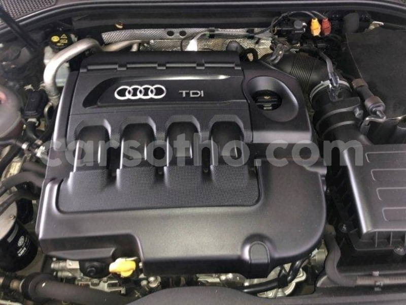 Big with watermark audi tdi 11