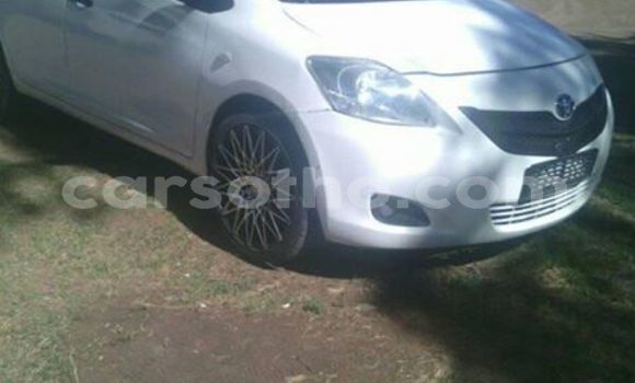 Buy Used Toyota Yaris White Car in Maseru in Maseru Buy Used Toyota Yaris White Car in Maseru in Maseru