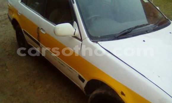 Buy Used Toyota Corolla White Car in Maseru in Maseru Buy Used Toyota Corolla White Car in Maseru in Maseru