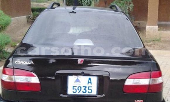 Buy Used Toyota Corolla Black Car in Maseru in Maseru Buy Used Toyota Corolla Black Car in Maseru in Maseru