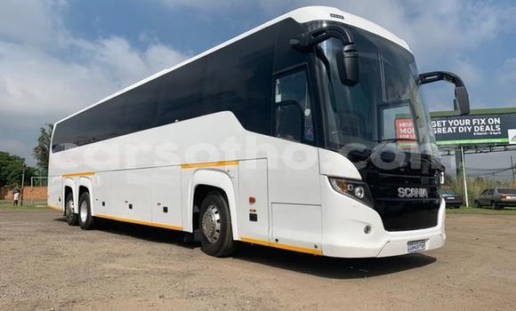 Sayi Na hannu Scania Irizar White Babbar mota in Maseru a Maseru Sayi Na hannu Scania Irizar White Babbar mota in Maseru a Maseru